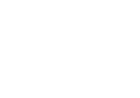 Business Gazelles